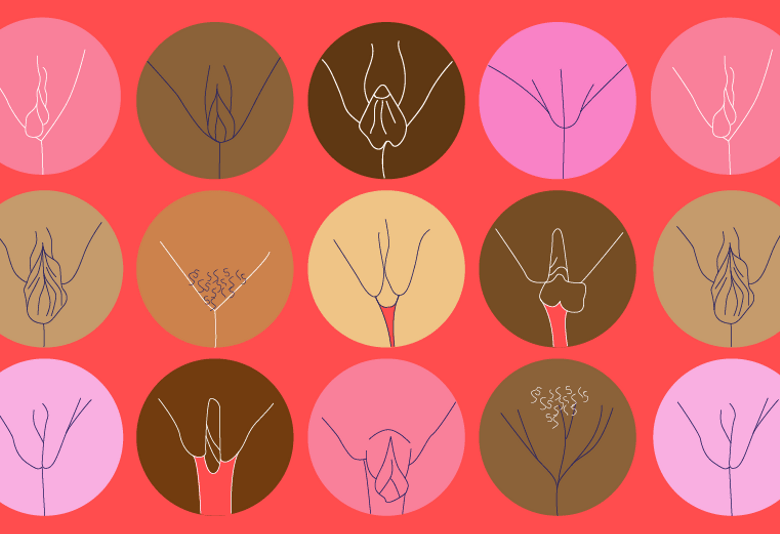 ¿Qué es la Vulva? Hablemos Sobre Ella